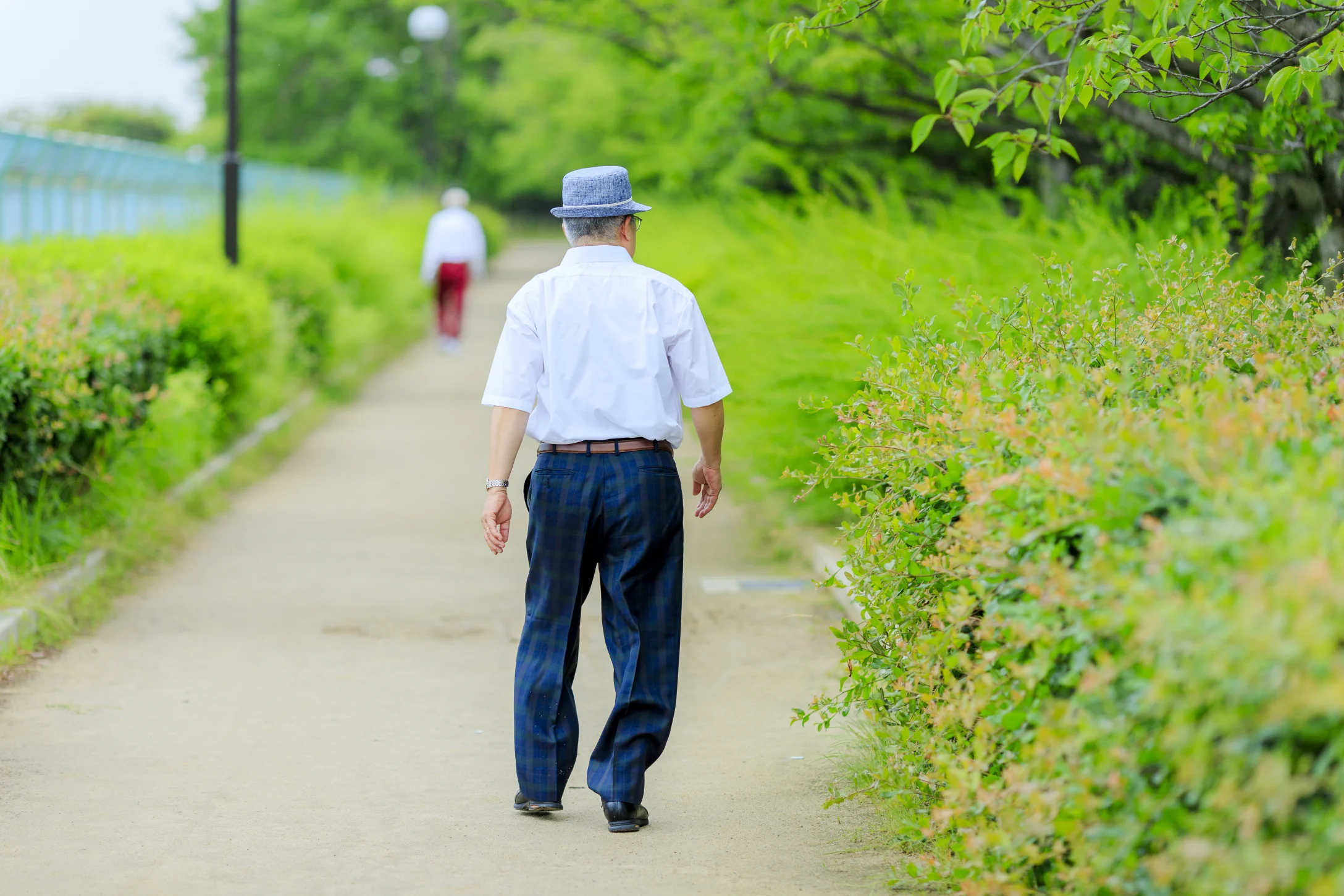 an old man walking away viewed from the back