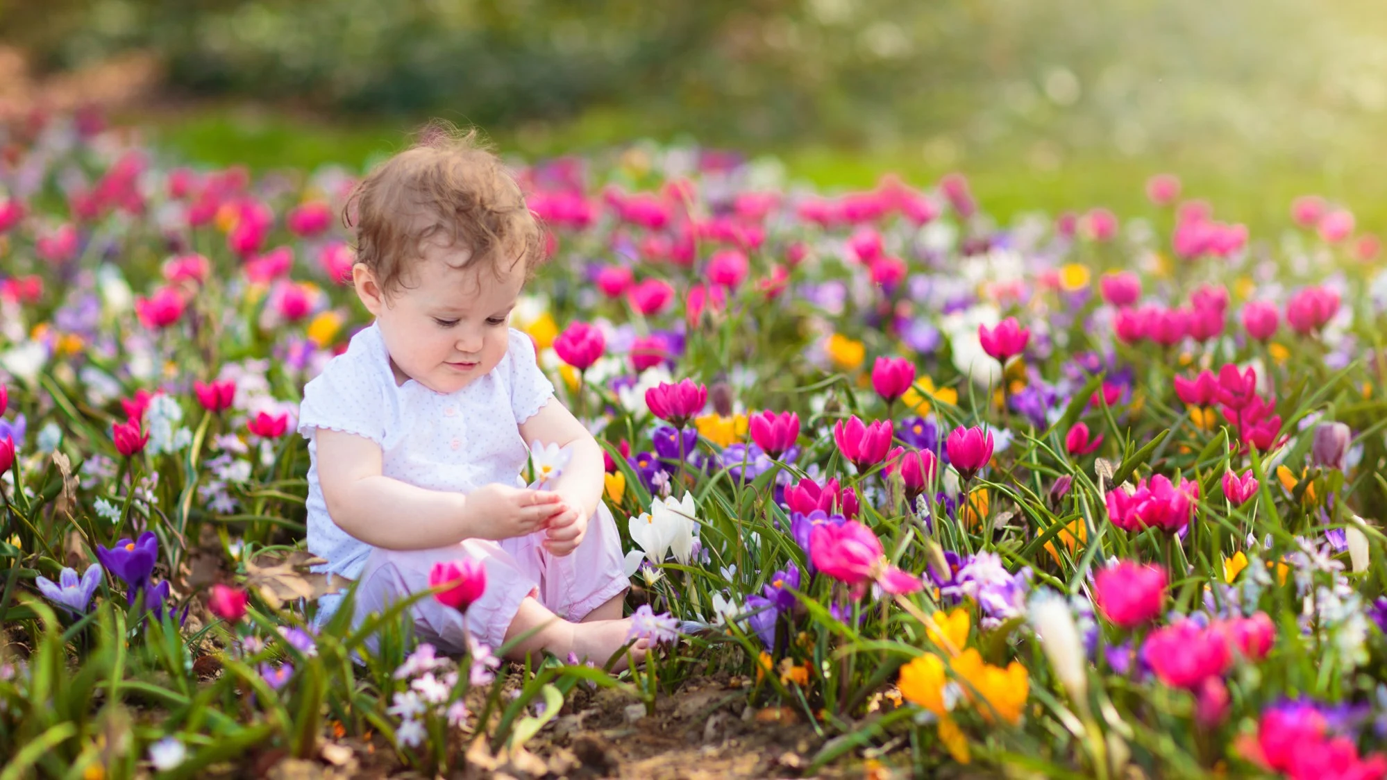 baby girl flowers